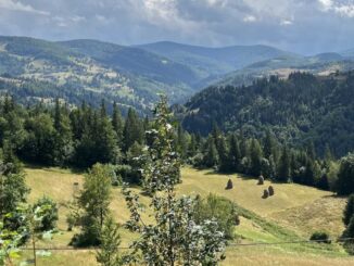 Arieșeni, județul Alba. FOTO: Liliana Boioglu