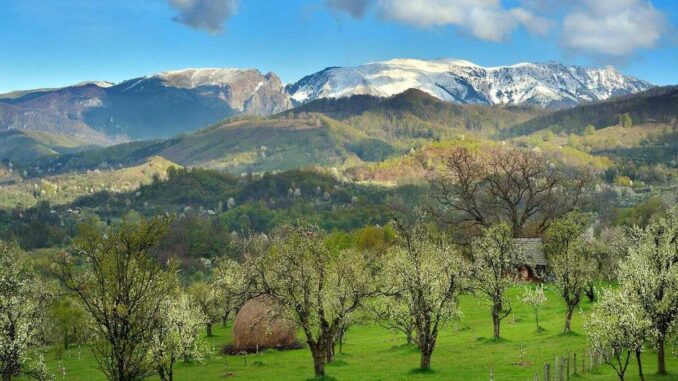 Oltenia De Sub Munte. FOTO: Asociația Kogaion